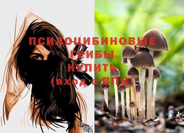 индика Балахна