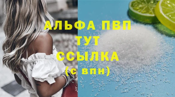 индика Балахна