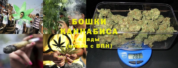 индика Балахна